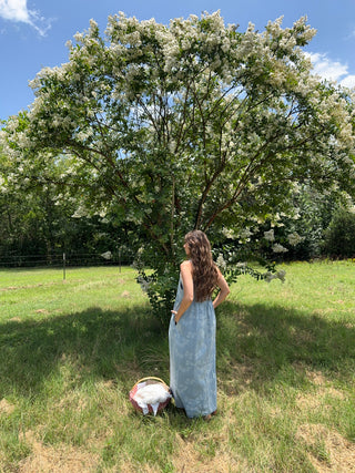 Daisy Denim Maxi