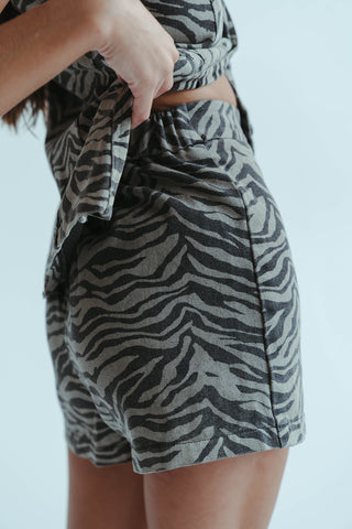Zesty Zebra Set